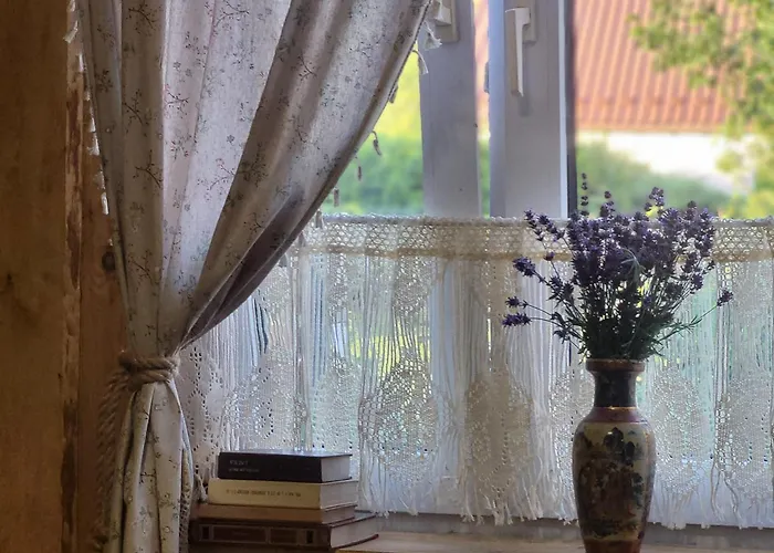 W Domku Koniarza בית חווה